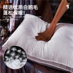 澳西奴 高品质鹅绒枕48*74C