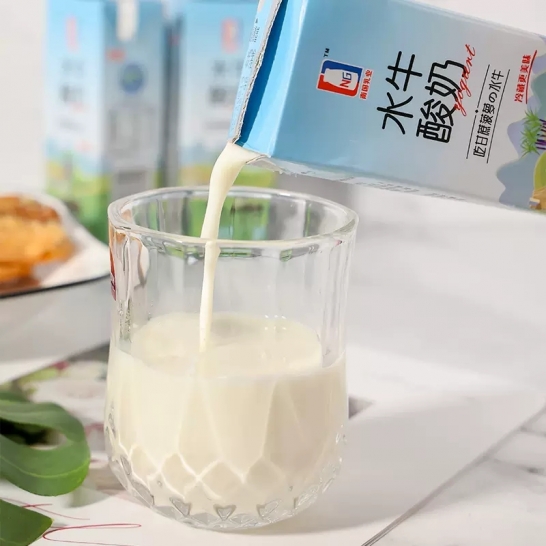 乳鹰水牛常温酸奶200g*10瓶...