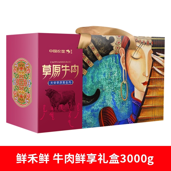 鲜禾鲜 牛肉鲜享礼盒3000g