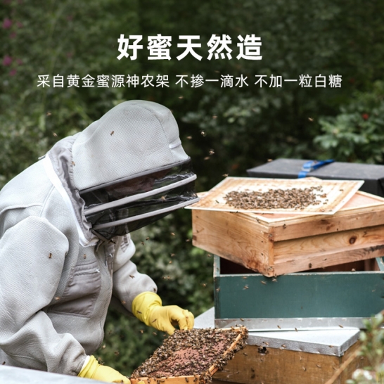 蜂之巢 蜂蜜&红枣枸杞504g(14gX36条)